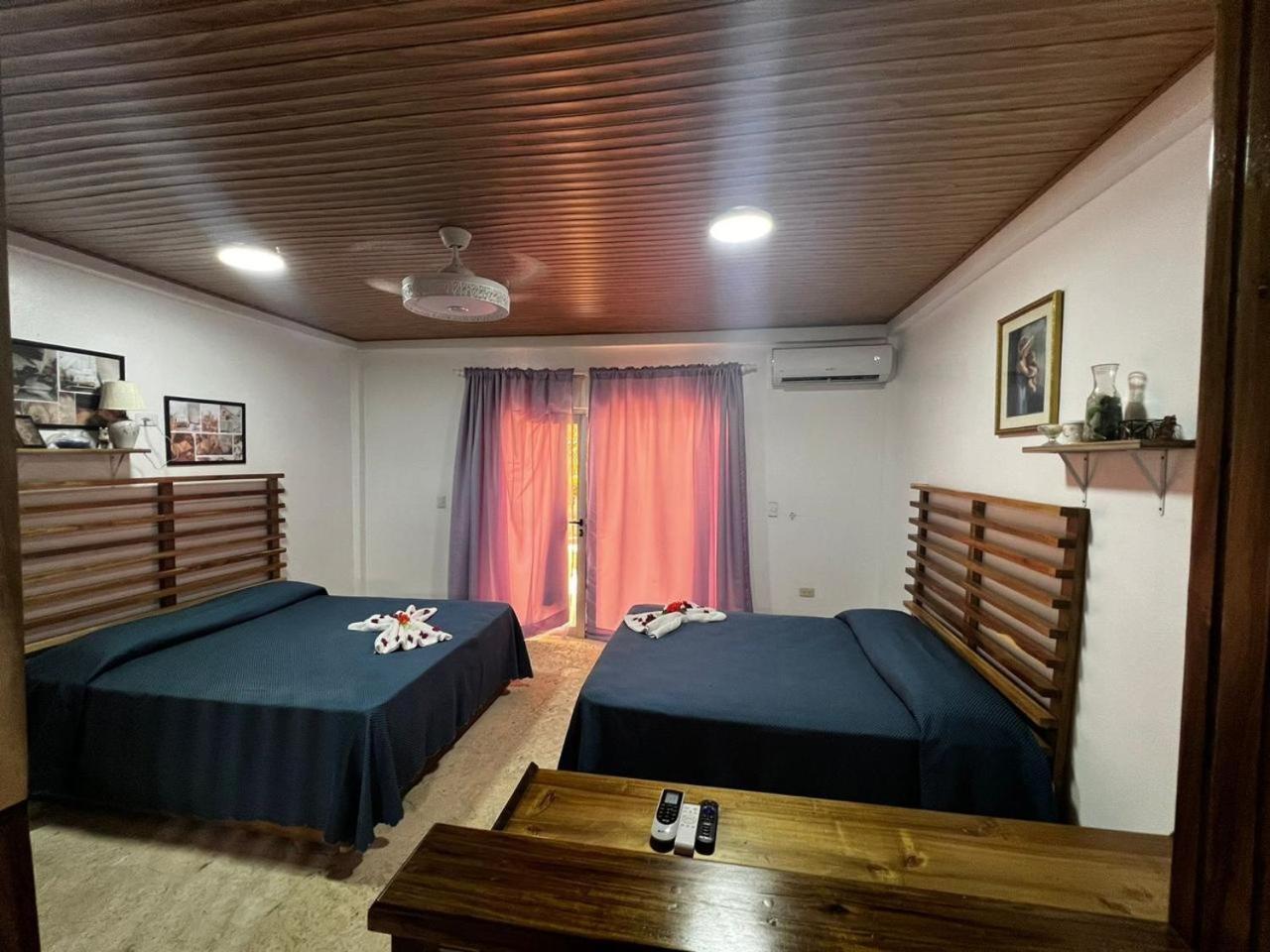 Piergiorgio Palace Hotel Puerto Plata Habitación foto